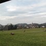 Mikulášovice