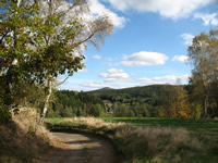 Vl hora