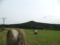 Vl hora