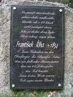 Lesnkv k