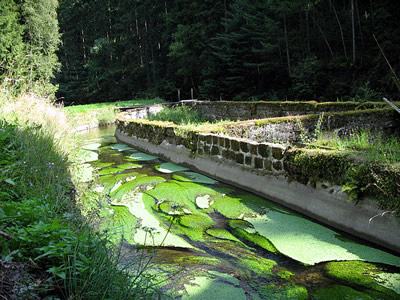 Niedermhle