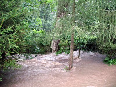 Povode 2010