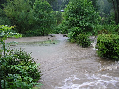 Povode 2010
