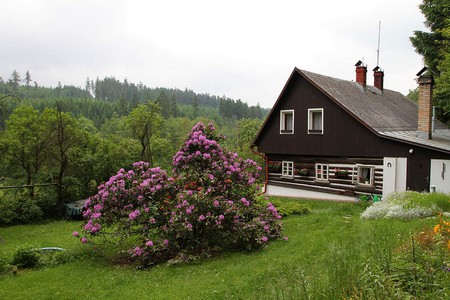 Kvetouc Kopec 2013