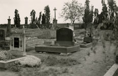 Nov Vska