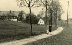 Nová Víska